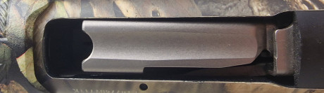 Photo 20260724_112805.jpg Fusil Semi automatique WINCHESTER Cal20/76