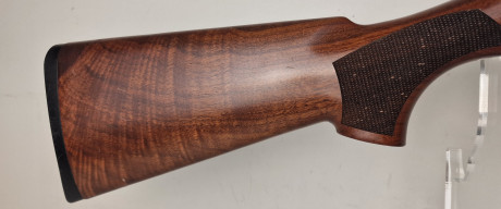 Photo 20260728_104606.jpg Fusil Semi automatique BENELLI Duca di Montefeltro Cal12/76