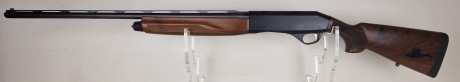 Photo 20260728_145927.jpg Fusil Semi-auto STOEGER MB3020 Cal20/76