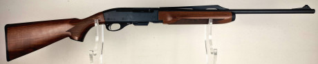 Photo 20260729_103805.jpg Carabine semi-auto REMINGTON 7400 Cal35whln