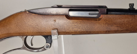 Photo 20260730_155609.jpg Carabine levier de sous garde RUGER Ninestisyx Cal44mag