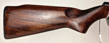 Photo 20260805_104721.jpg Carabine linéaire MOSSBERG Plinkster cal 22lr  +  Silencieux