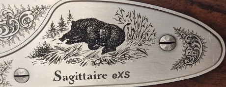 Photo 20260806_094909.jpg Carabine Express VERNEY CARRON sagittaire Exs Cal9.3x74R
