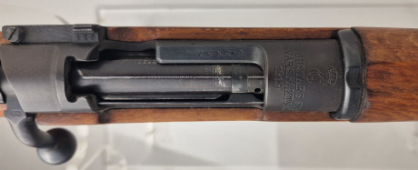 Photo 20260812_163422.jpg Carabine à verrou Carl Gustav M96  calibre 6,5×57