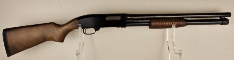 Photo 20260814_154903.jpg Fusil à pompe WINCHESTER Defender Cal12/76