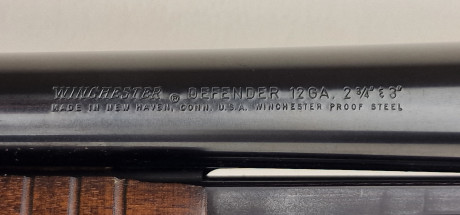 Photo 20260814_154957.jpg Fusil à pompe WINCHESTER Defender Cal12/76