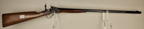 Carabine ChHIAPPA Little Sharps Cal.45 Colt