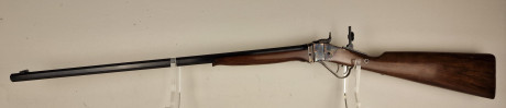 Photo 20260814_161725.jpg Carabine ChHIAPPA Little Sharps Cal.45 Colt