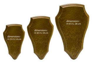 Photo A50251-V Ecusson pour trophée chevreuil ou cerf