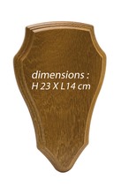 Photo ECUSSON CHEVREUIL OU CERF
