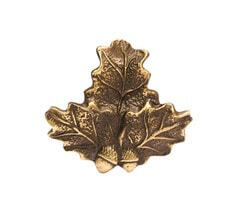 Photo FEUILLE DE CHENE PORTE TROPHEE