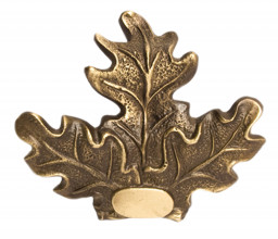 Photo A50271 Feuille de Chêne porte trophée