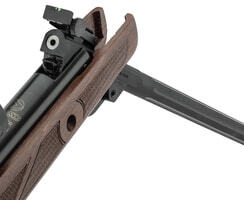 Photo G1400C-7-recadrée-Carabine GAMO Hunter 440 AS + lunette 3-9 x 40 WR