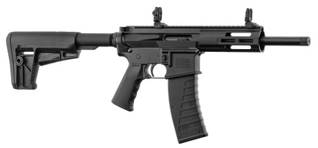 Photo KS360-02.jpg Carabine KRISS DMK22S KS360 .22 LR canon 10 pouces