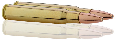 Photo MGC7807-TAB.jpg Cartouches GECO .30-06 Springfield 170 gr / 11,0 g Bonded