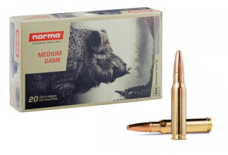 Cartouches Norma .308 Winchester 180 gr / 11,7 g ...