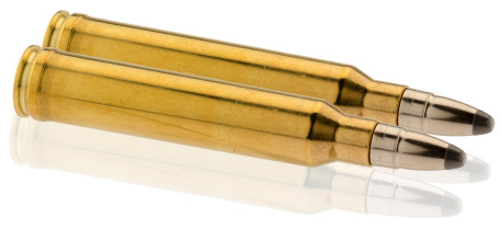 Photo RWS301-TAB.jpg Cartouches RWS .300 Winchester Magnum 181 gr / 11,7 g UNI Classic