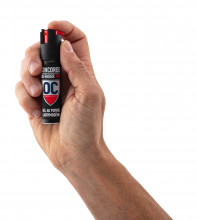 Photo SP145-05.jpg Aérosol de défense Concorde Defender Pro